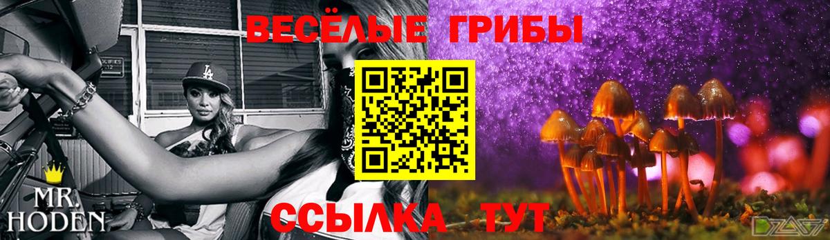 Галлюциногенные грибы мухоморы  Вход с VPN  Галлюциногенные грибы прущие грибы  Воскресенск 