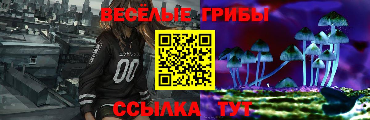 Галлюциногенные грибы Psilocybine cubensis Воскресенск